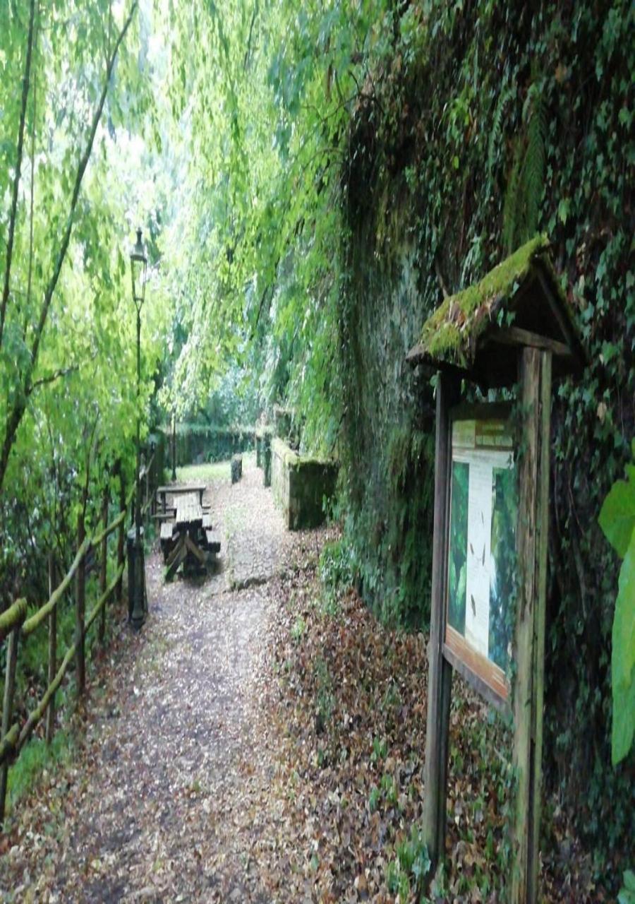 Antica Dimora Apartamento Barbarano Romano Exterior foto